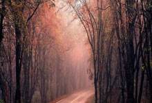 兰博电竞：西甲：赫罗纳4比3击败莱加内斯.