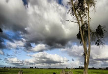 兰博电竞：运动汇丨春节出行防晕小妙招：按摩三个穴位2025-01-27.