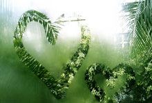 兰博电竞：热刺在对南安普顿的比赛中上演闪电进球，比赛第36秒即破门.