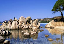 除了郎平，就没有人能救中国女排？.